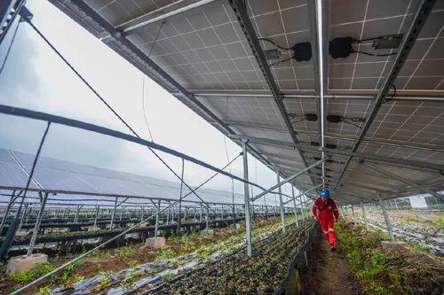 中國十三省最大光伏電站在這里！欽州康熙嶺的光伏電站能排上號了嗎？
